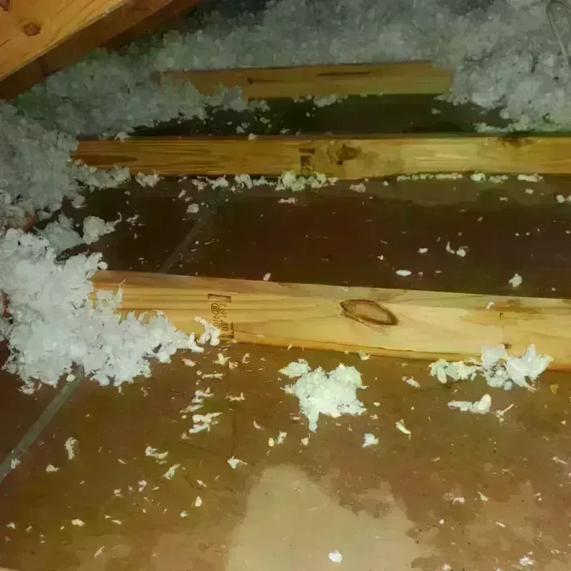 Attic Water Damage in Lead, SD