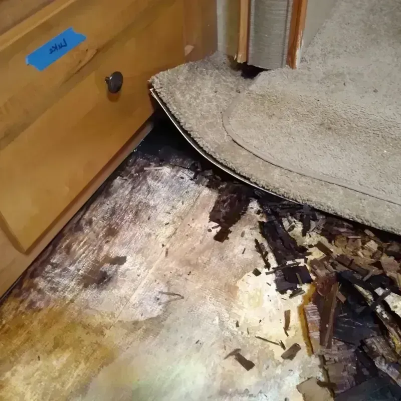 Wood Floor Water Damage in Lead, SD